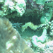 Observation photo
