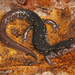 Southeastern Slimy Salamander - Photo (c) Jake Scott, all rights reserved, uploaded by Jake Scott