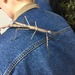 Quick Stick Insect - Photo (c) maggieschedl, all rights reserved