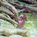 Observation photo