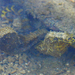 Observation photo