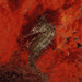 Observation photo