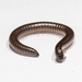 Flocculent Tailed Millipede - Photo (c) MaLisa Spring, all rights reserved, uploaded by MaLisa Spring