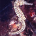Observation photo