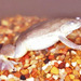 De Witte's Clawed Frog - Photo (c) Paul Freed, all rights reserved, uploaded by Paul Freed