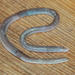 Vanzolini's Worm Lizard - Photo (c) adrianomaciel, all rights reserved, uploaded by adrianomaciel
