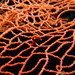 Observation photo