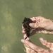Observation photo