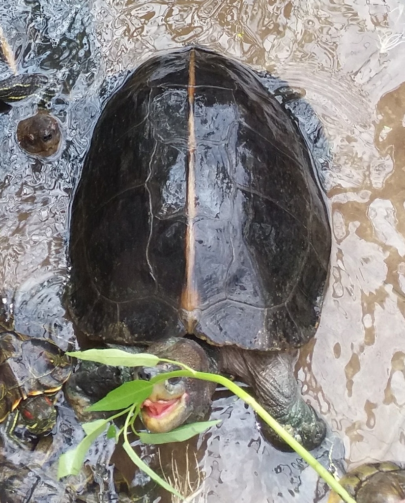 Photo by Mun Yee Lee