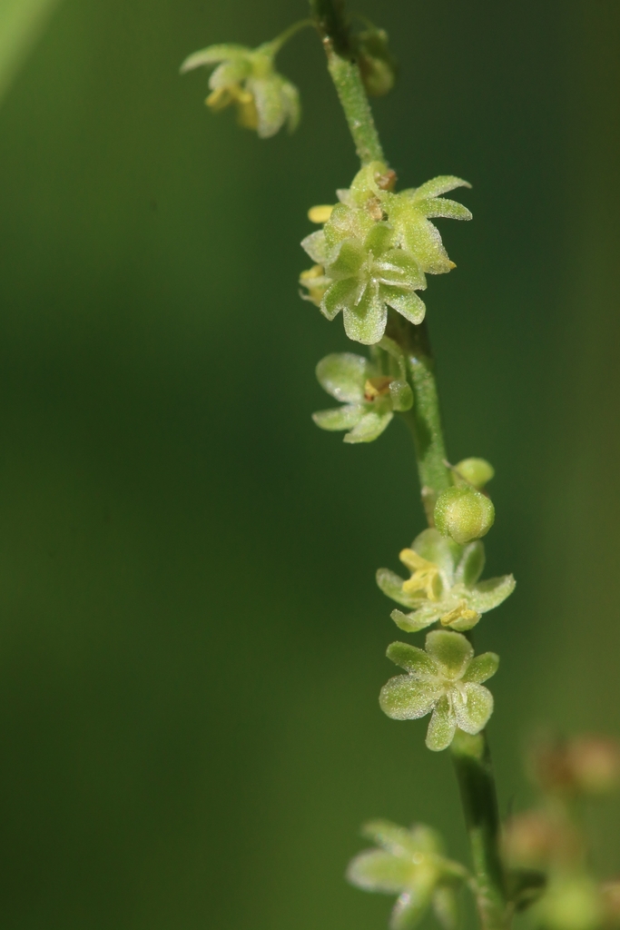 docks from Seymour, WI, USA on June 19, 2022 at 0354 PM by Frank