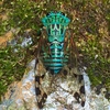 Typical Cicadas - Photo (c) T. Flynn, all rights reserved, uploaded by T. Flynn