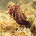 Observation photo