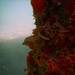 Observation photo