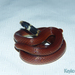 Capistrata Centipede Snake - Photo (c) Keyko Cruz, all rights reserved