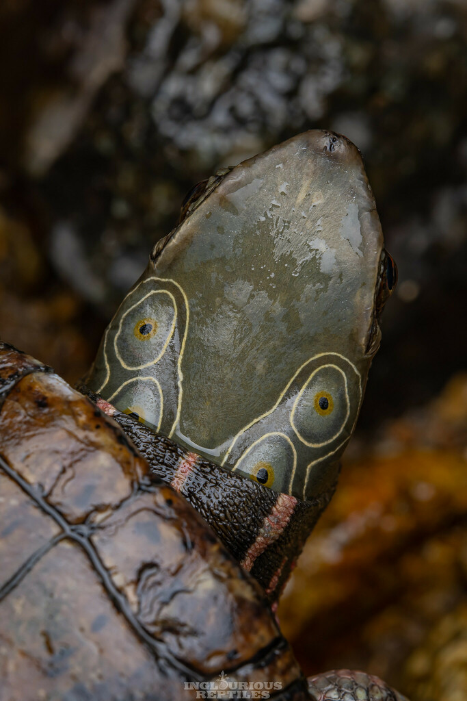 Photo by Artur Tomaszek