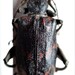 Rhagiosoma - Photo (c) Petr Kabatek, todos los derechos reservados, subido por Petr Kabatek