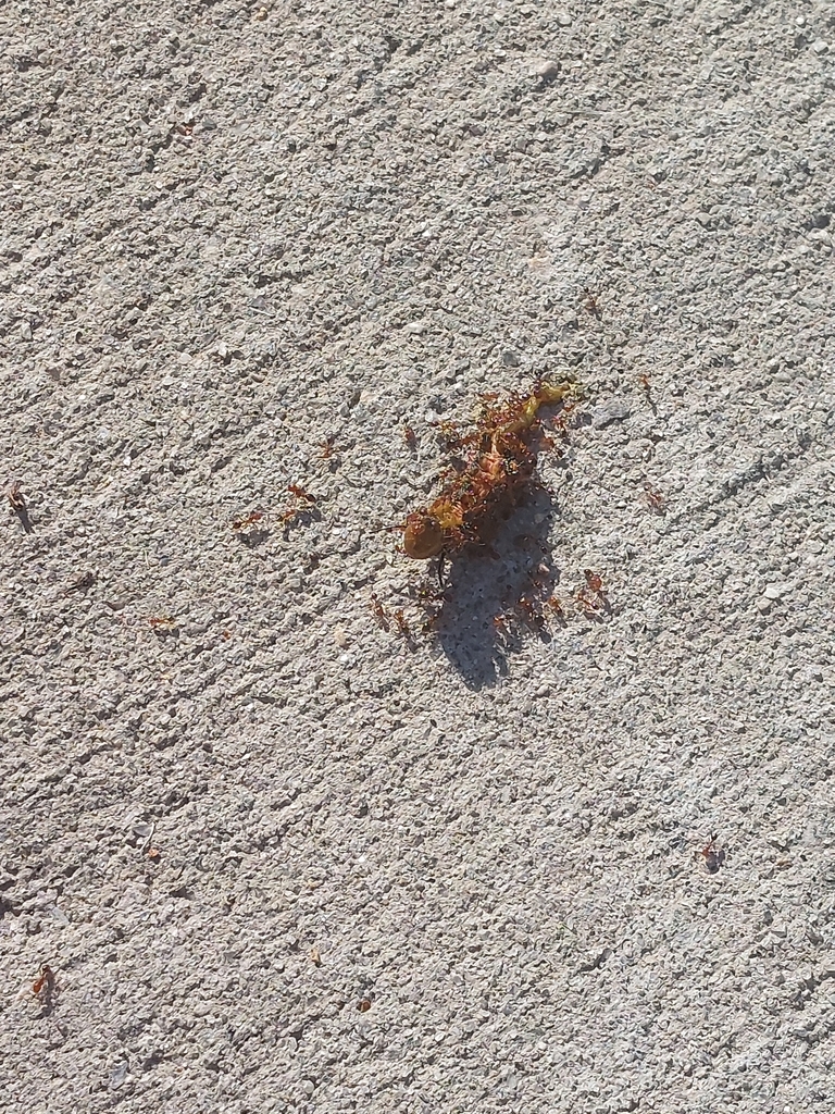 something-from-green-level-high-school-on-september-2-2022-at-09-22-am