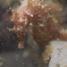 Observation photo