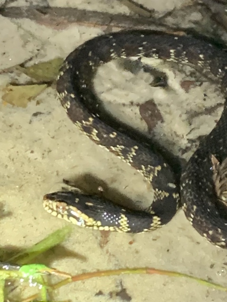 Indian Riverside Park Events Today Indian Riverside Park Events Today