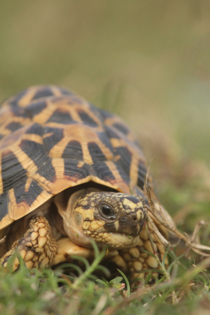 Photo by Aditya Ramakrishnan