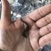 Observation photo