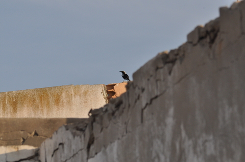 Mountain Chat