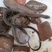 Heterodactylus lundii - Photo (c) Raphael Lima, όλα τα δικαιώματα διατηρούνται, uploaded by Raphael Lima