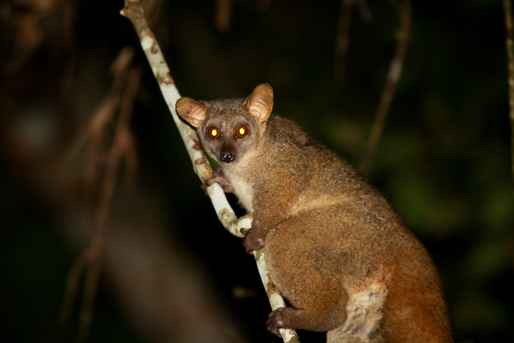 Rus sikish seks sikish Issiq, shafqatsiz porno tomosha qiling