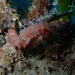 Observation photo