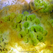 Oophila amblystomatis - Photo (c) Brad Moon, όλα τα δικαιώματα διατηρούνται, uploaded by Brad Moon