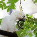 Yellow-crested Cockatoo - Photo (c) Lai Kam-fung, all rights reserved, uploaded by Lai Kam-fung