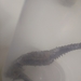 Observation photo