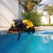 Steindachner's Bumble Bee - Photo (c) Eduardo Osorio, all rights reserved, uploaded by Eduardo Osorio