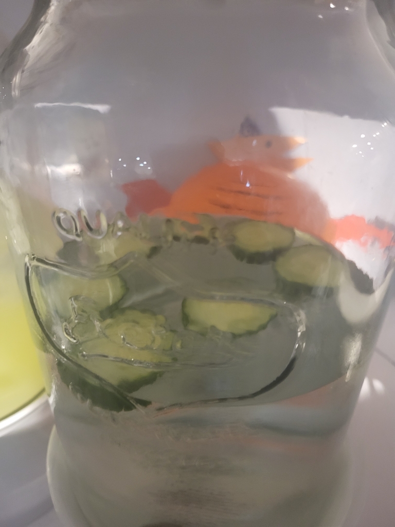 Something from Dover Estates, Orlando, FL 32812, USA on June 24, 2023