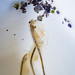 Longhorn Fairy Shrimp - Photo (c) naturalisttrent, all rights reserved, uploaded by naturalisttrent