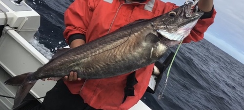 Gemfish