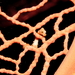 Observation photo
