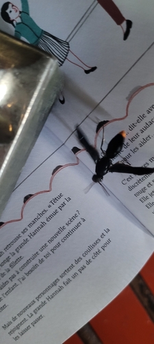 Synagris