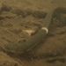 Pacific Shortfinned Eel - Photo (c) Ryan Richardson, all rights reserved, uploaded by Ryan Richardson