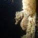 Observation photo