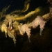 Observation photo