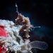 Observation photo