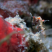 Observation photo