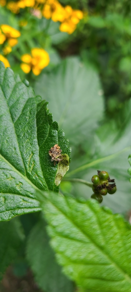 Something from San Antonio, TX 78254, USA on October 28, 2023 at 04:51 ...