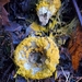 Hypomyces microspermus - Photo 由 Rocco Russo 所上傳的 (c) Rocco Russo，保留所有權利