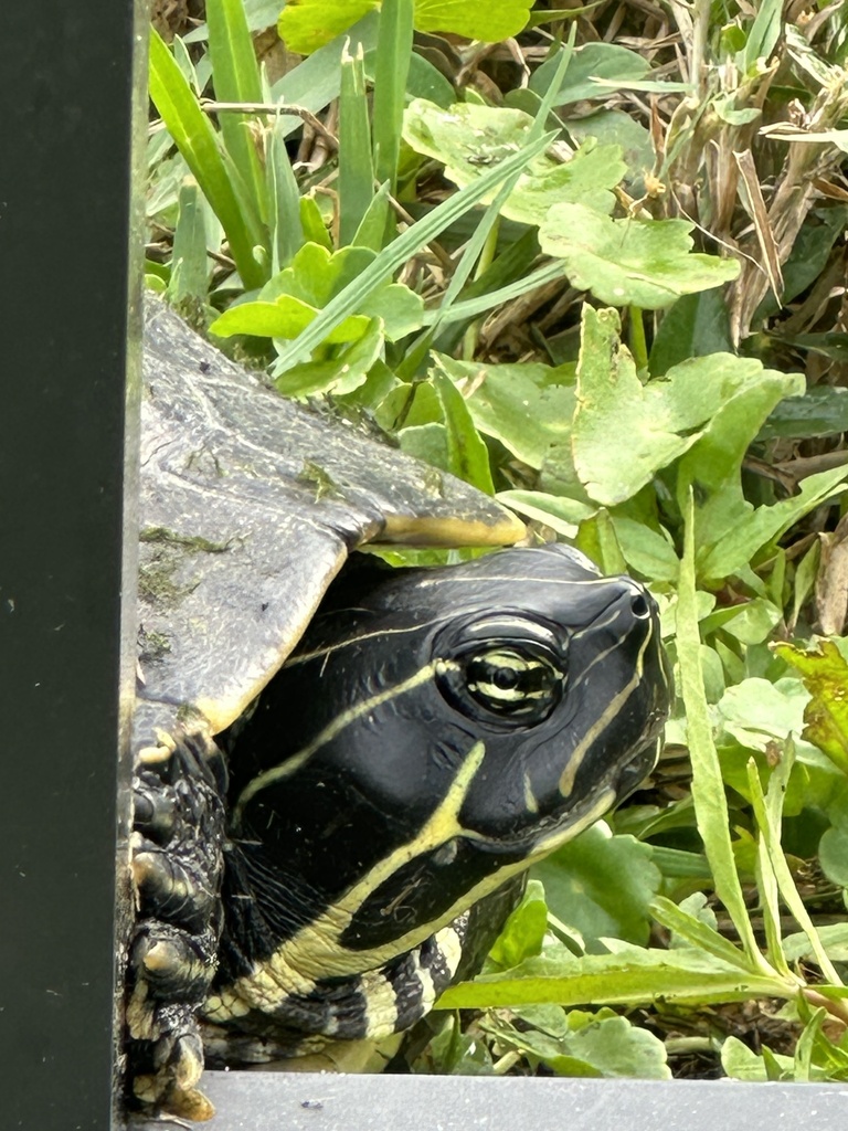 cooters-from-nw-75th-st-boca-raton-fl-us-on-november-24-2023-at-02