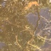 Observation photo