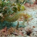 Observation photo