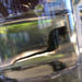 Observation photo
