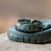 條紋草蛇 - Photo 由 Marek R. Swadzba 所上傳的 (c) Marek R. Swadzba，保留所有權利